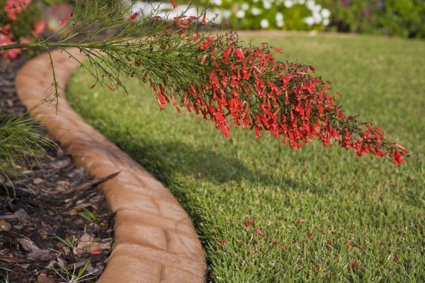 Brick Edging in Franklin