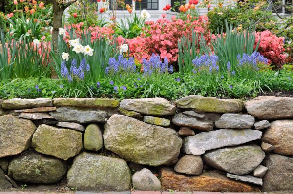 Stone Wall Hardscaping in Franklin