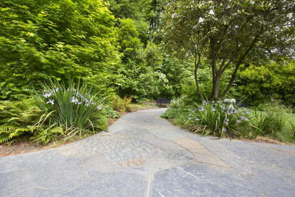 Stone Hardscape Service in Franklin
