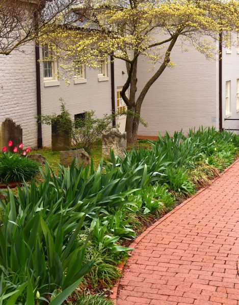 Brick Flatwork Repair in Franklin